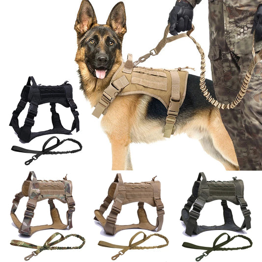 All-Terrain Dog Harness and Leash