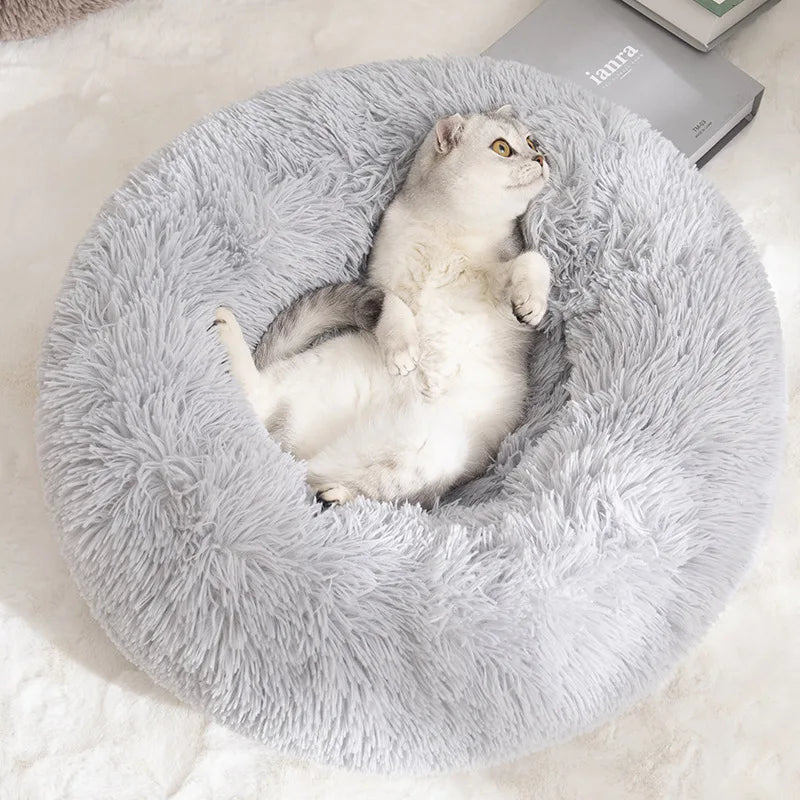 CozyPaws Donut Plush Bed