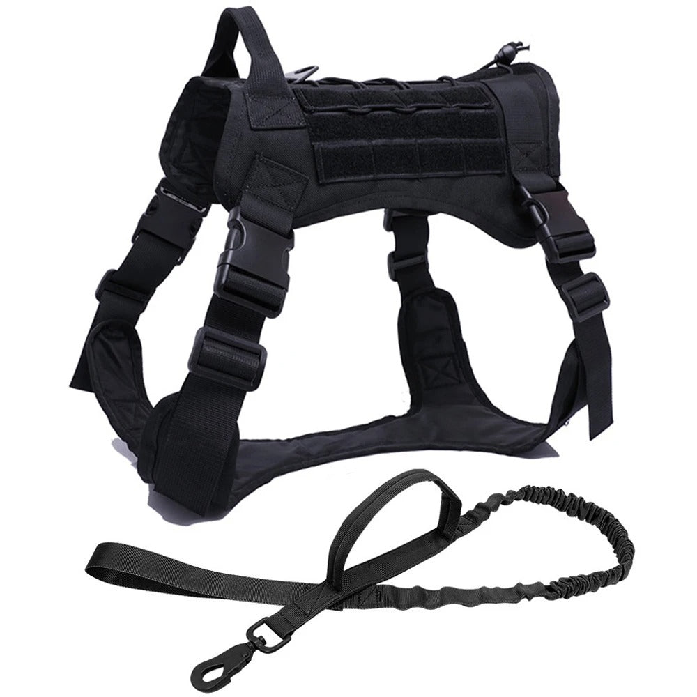 All-Terrain Dog Harness and Leash