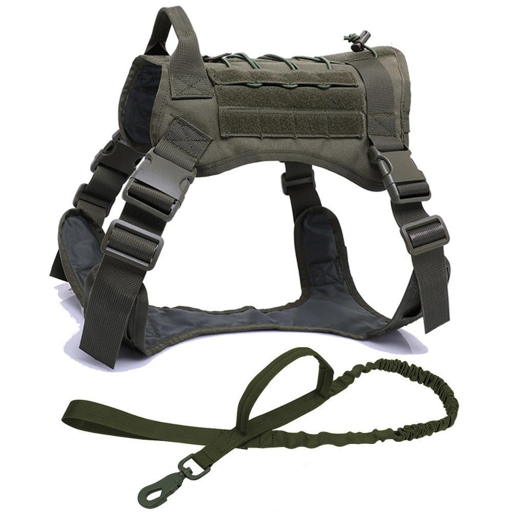 All-Terrain Dog Harness and Leash