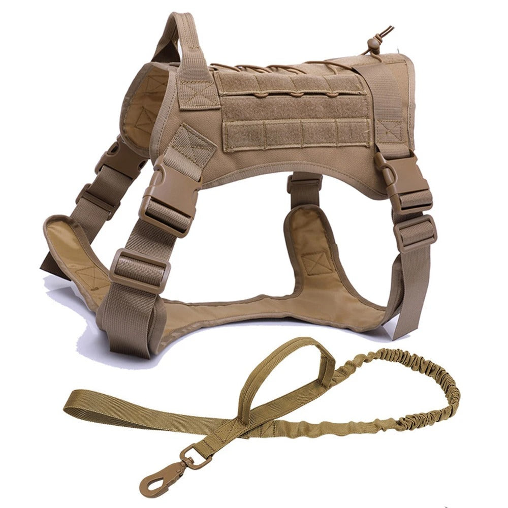 All-Terrain Dog Harness and Leash