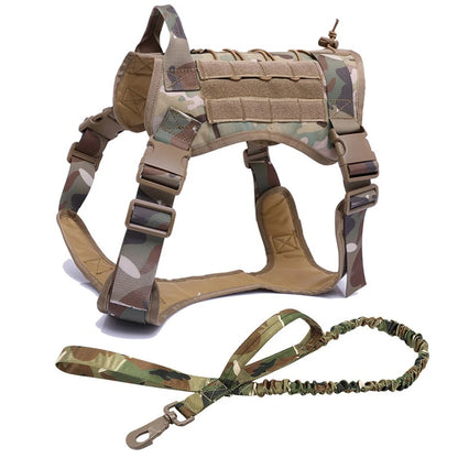 All-Terrain Dog Harness and Leash